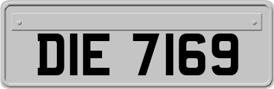 DIE7169