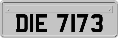 DIE7173