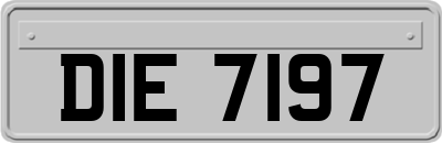 DIE7197