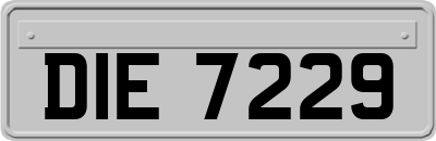 DIE7229