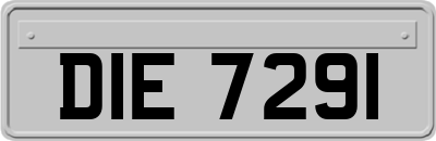 DIE7291