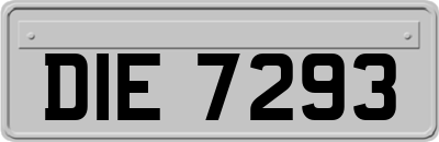 DIE7293