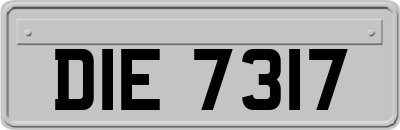 DIE7317