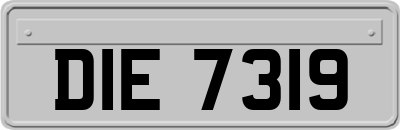 DIE7319