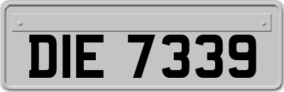 DIE7339