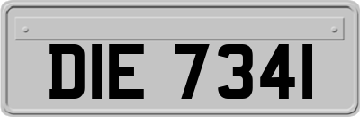 DIE7341