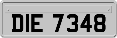 DIE7348