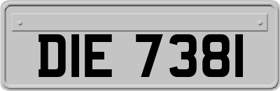 DIE7381