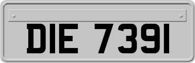 DIE7391