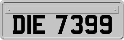 DIE7399