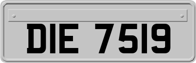 DIE7519
