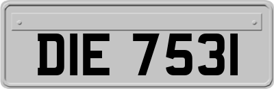 DIE7531