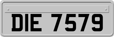 DIE7579