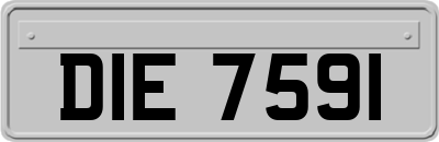 DIE7591