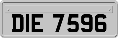 DIE7596