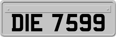DIE7599