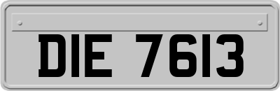 DIE7613