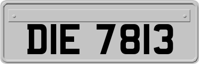 DIE7813