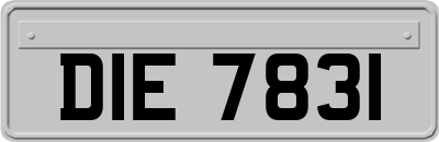 DIE7831