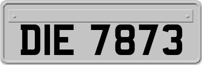 DIE7873