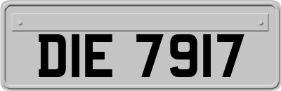 DIE7917