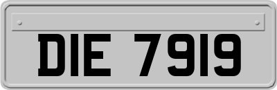 DIE7919