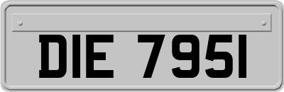 DIE7951