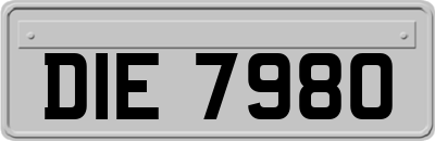 DIE7980