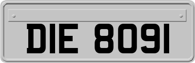 DIE8091
