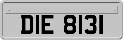 DIE8131