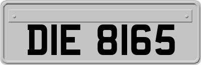 DIE8165
