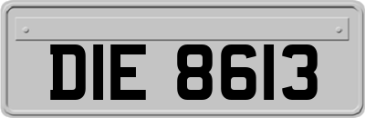 DIE8613