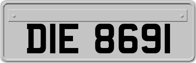 DIE8691