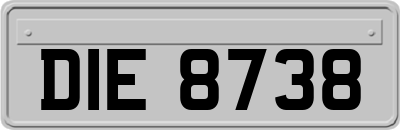 DIE8738