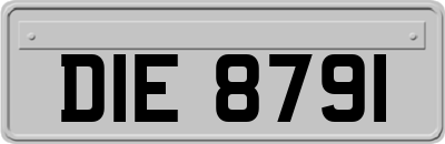 DIE8791