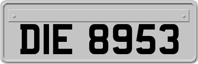 DIE8953