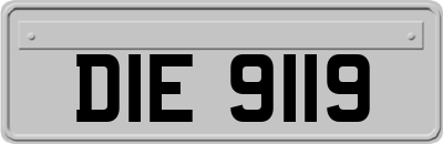 DIE9119