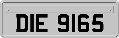 DIE9165