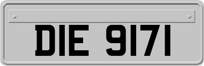 DIE9171