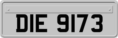 DIE9173