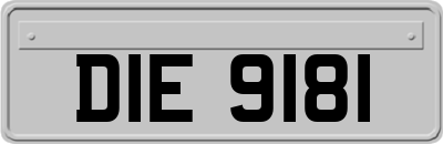 DIE9181