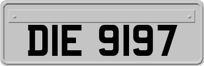 DIE9197