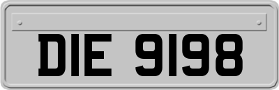 DIE9198