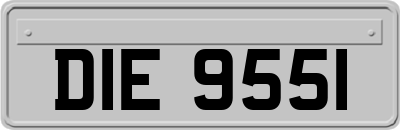 DIE9551