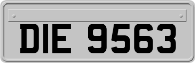 DIE9563