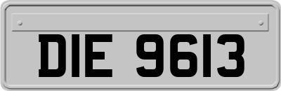 DIE9613