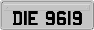 DIE9619
