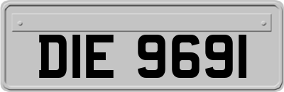 DIE9691