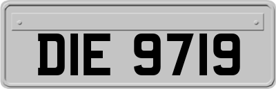DIE9719