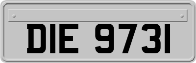 DIE9731